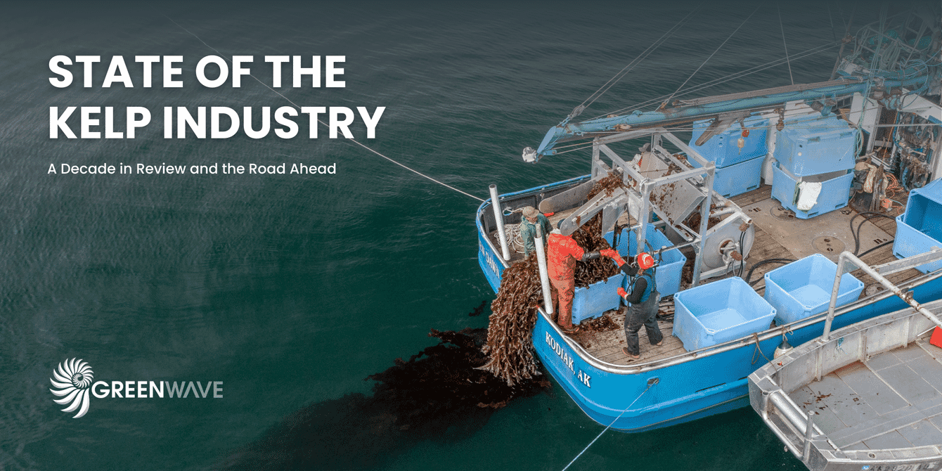 A cover photo of a new report tackling kelp farming in North America.